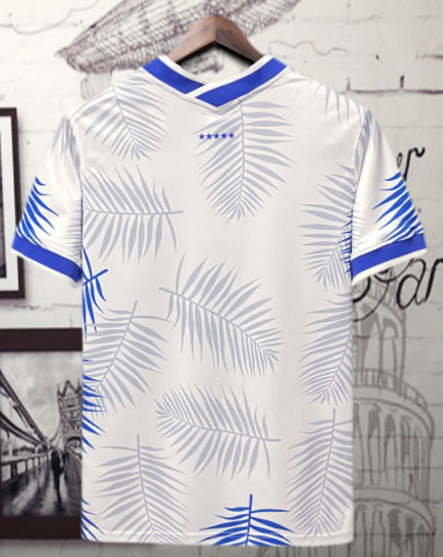 25-26 Brazil Concept Jersey Player Version