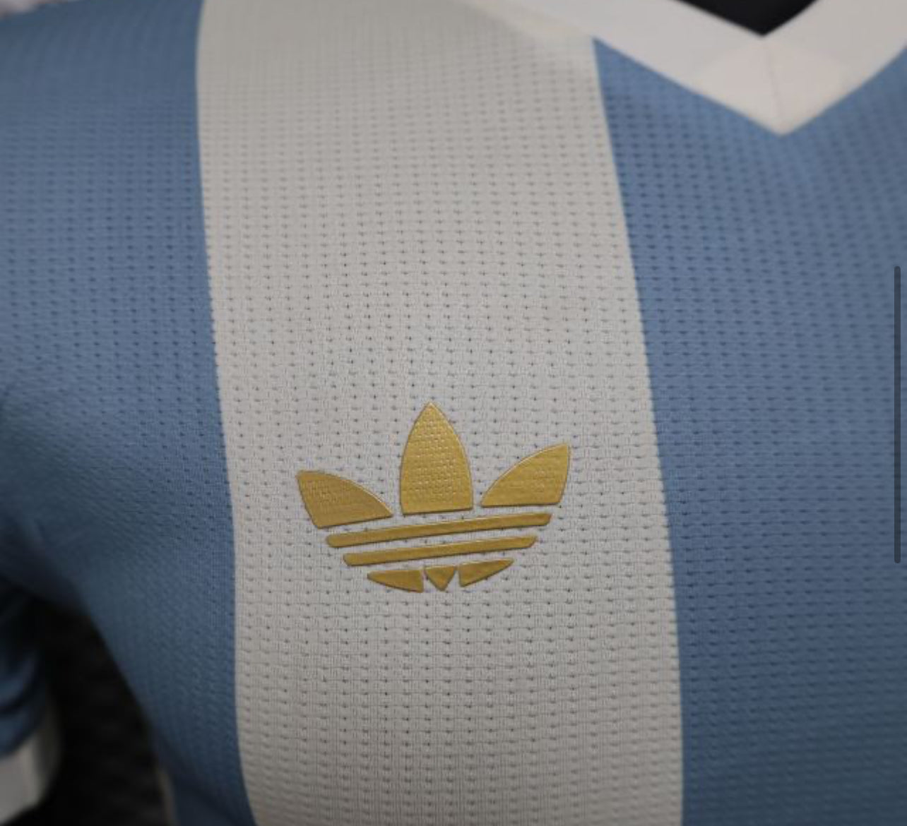 24-25 Argentina 50 Years Anniversary Collection Jersey Player Version