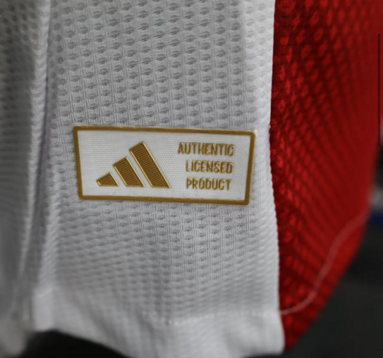 25-26 Ajax Home Soccer Jersey Player Version