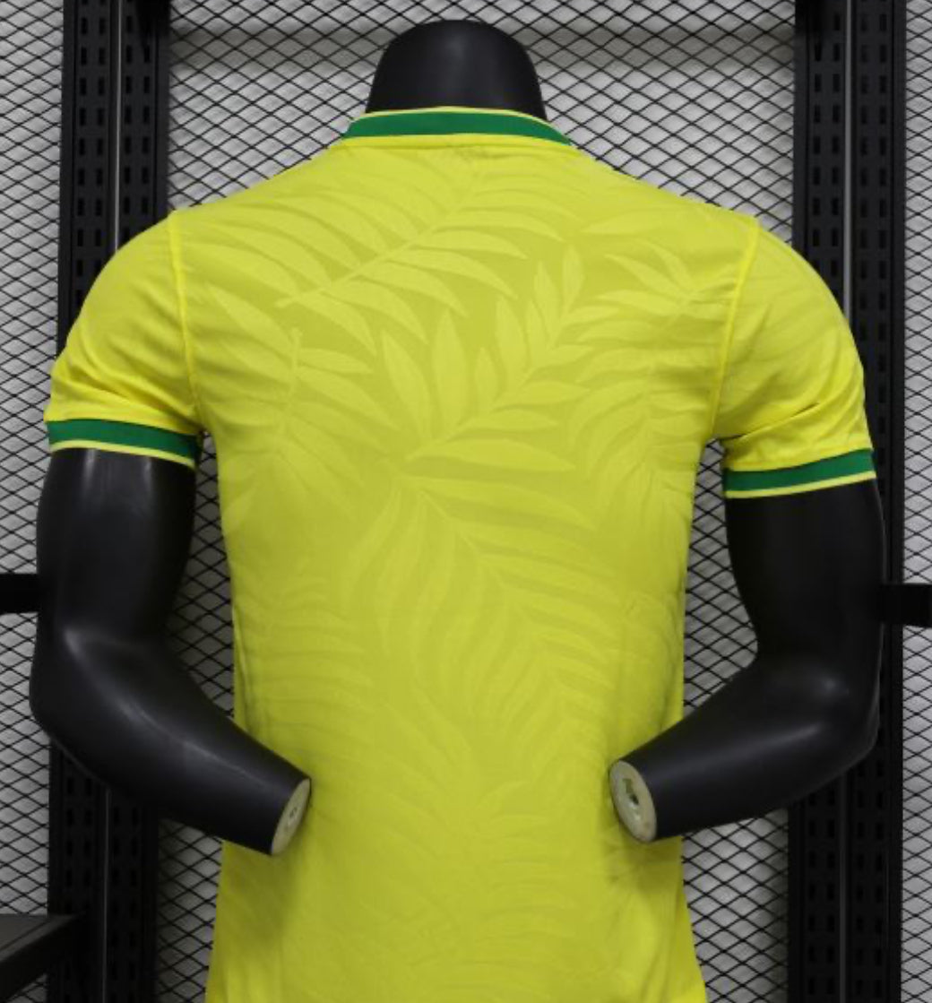Brazil Soccer Concept Jersey