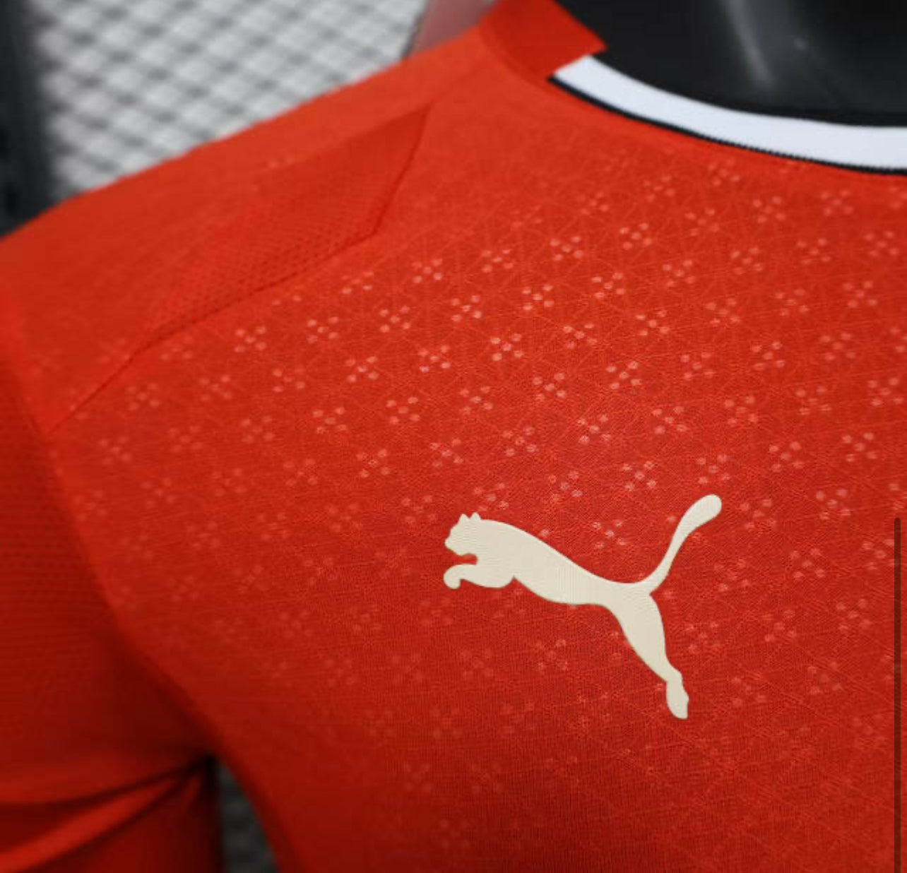 25-26 Portugal Home Soccer Jersey Player Version